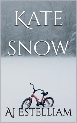 Kate Snow - Emerson and Snow, #1