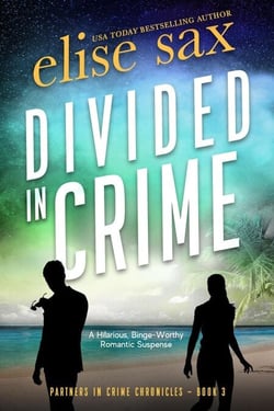 Divided in Crime: A Hilarious Binge-Worthy Romantic Suspense - Partners in Crime Chronicles, #3