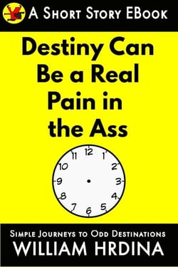Destiny Can Be a Real Pain in the Ass - Simple Journeys to Odd Destinations, #34