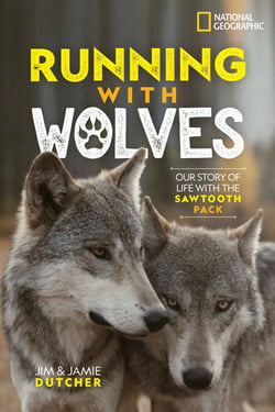 Running with Wolves - Our Story of Life with the Sawtooth Pack