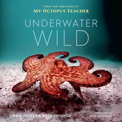 The Underwater Wild - My Octopus Teacher's Extraordinary World
