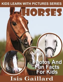 Horses Photos and Fun Facts for Kids - Kids Learn With Pictures, #3