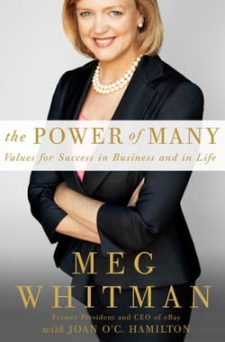 The Power of Many - Values for Success in Business and in Life