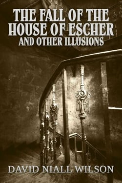 The Fall of the House of Escher and Other Illusions