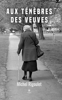 Aux ténèbres des veuves - Roman