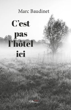 C’est pas l’hôtel ici - Roman