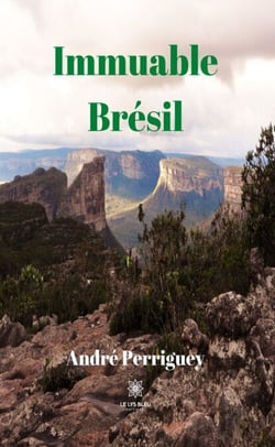 Immuable Brésil - Roman