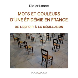 Mots et couleurs d'une épidémie en France - De l'espoir à la désillusion