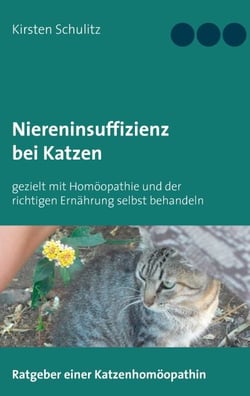 Niereninsuffizienz bei Katzen - gezielt mit Homöopathie und der richtigen Ernährung selbst behandeln