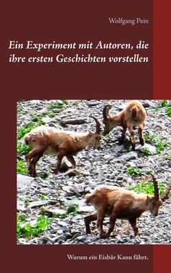 Ein Experiment mit Autoren, die ihre ersten Geschichten vorstellen - Warum ein Eisbär Kanu fährt