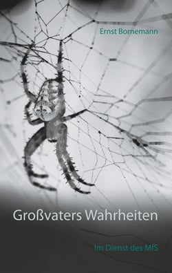 Großvaters Wahrheiten - Im Dienst des MfS