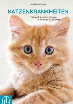 Katzenkrankheiten - Wie du frühzeitig vorbeugst &amp; woran du sie erkennst