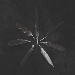 Dust And Disquiet