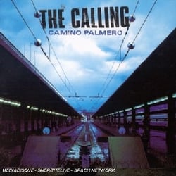 Camino palmero