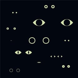 Animal universe