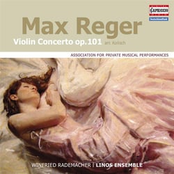 Violin concerto opus 101