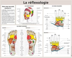 La réflexologie