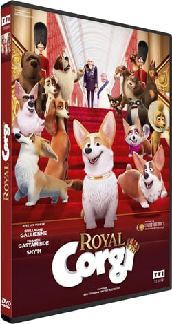 Royal Corgi
