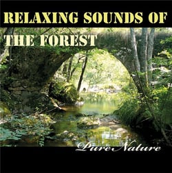 Relaxing sounds of the forest, pure nature