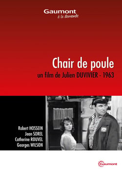 Chair de poule