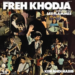 Ken Andi Habib