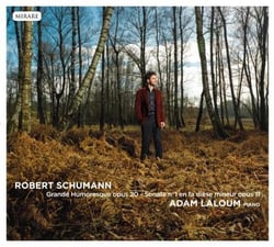 Grande humoresque op.20 - sonate n°1 op.11 - CD