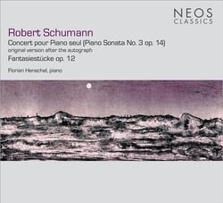 Concerto pour piano seul, fantaisiestucke op.12