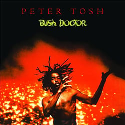 Bush doctor