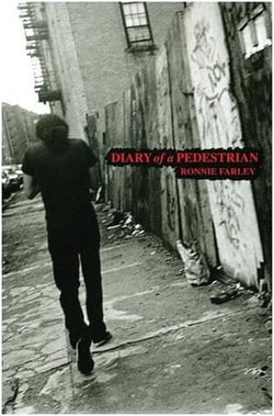 Ronnie farley diary of a pedestrian a new york photo memoir