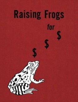 Jason fulford: raising frogs for d d d