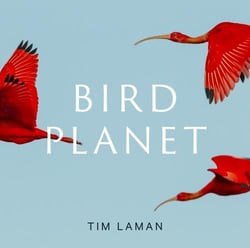 Bird planet : a photographic journey