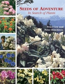 Seeds of adventure in search of plants