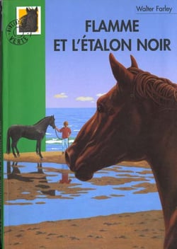 Flamme et l'Étalon Noir