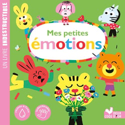 Mon livre des émotions