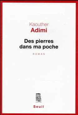 Des pierres dans ma poche