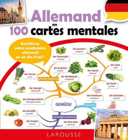 L'allemand en 100 cartes mentales
