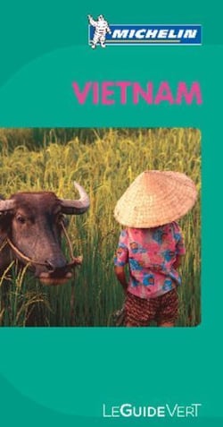 Le guide vert : Vietnam