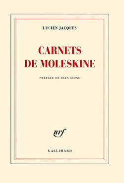 Carnets de moleskine