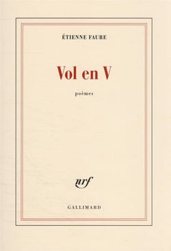 Vol en V
