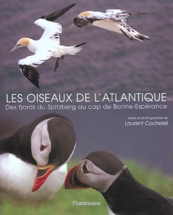 Les oiseaux de l'atlantique - des fjords du spitzberg au cap de bonne-esperance