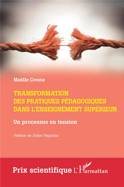 Transformation des pratiques pédagogiques dans l'enseignement supérieur : Un processus en tension
