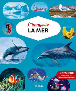L'imagerie : la mer