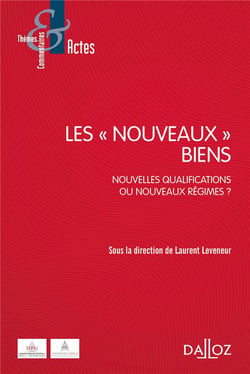 Les nouveaux biens - Nouvelles qualifications ou nouveaux régimes ?