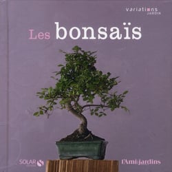 Les Bonsaïs