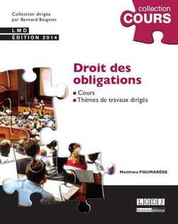 Droit des obligations (3e édition)