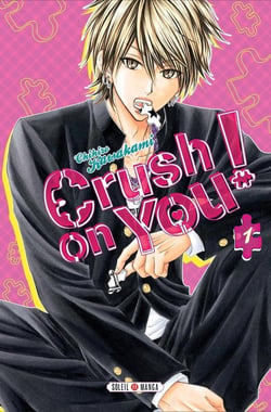 Crush on you Tome 1