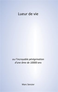 Lueur de vie - l'incroyable pérégrination d'une âme de 10000 ans