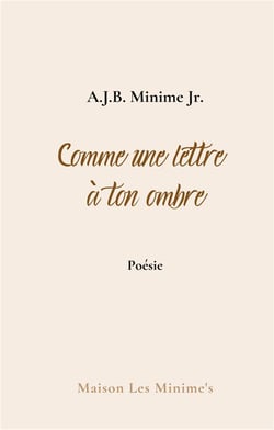 Comme une lettre à ton ombre : carnets