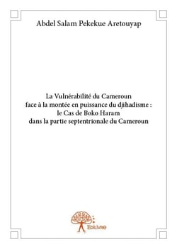 La vulnérabilité du cameroun face à la montée en puissance du djihadisme : le cas de boko haram dans la partie septentrionale du cameroun
