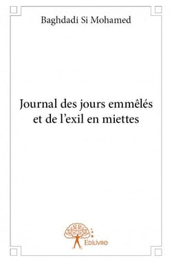 Journal des jours emmêlés et de l'exil en miettes
